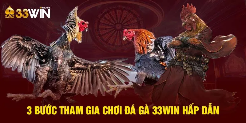 3 bước tham gia chơi đá gà 33win hấp dẫn