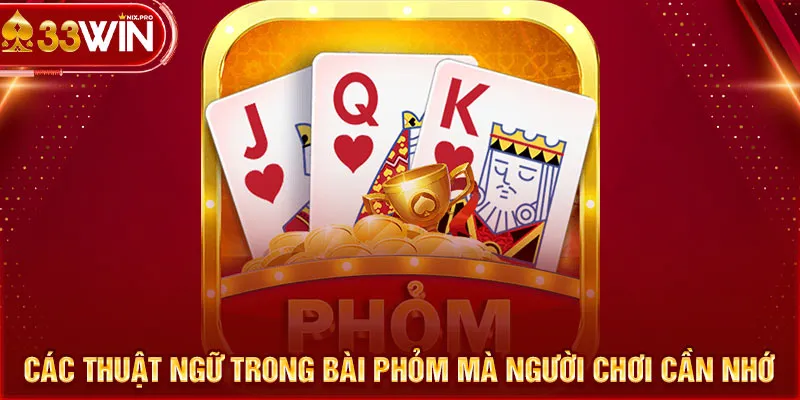 Các thuật ngữ trong bài phỏm mà người chơi cần nhớ