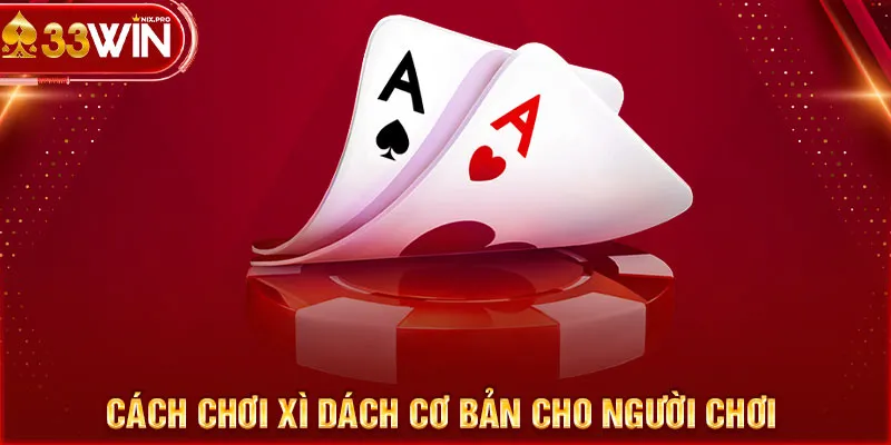 Cách chơi xì dách cơ bản cho người chơi 