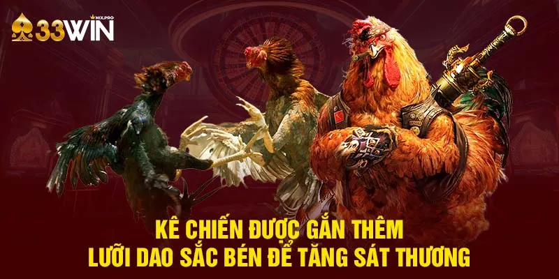 Kê chiến được gắn thêm lưỡi dao sắc bén để tăng sát thương