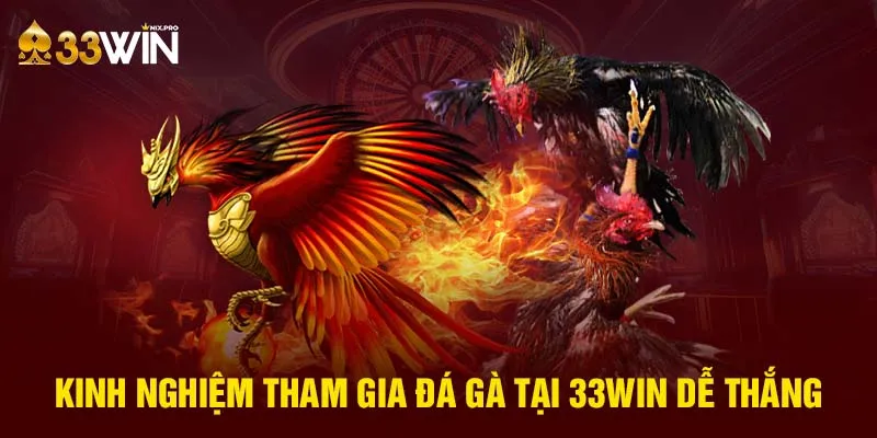 Kinh nghiệm tham gia đá gà tại 33win dễ thắng