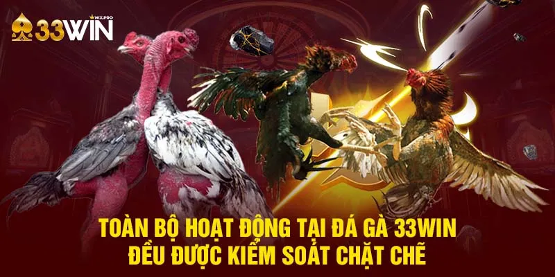 Toàn bộ hoạt động tại đá gà 33win đều được kiểm soát chặt chẽ